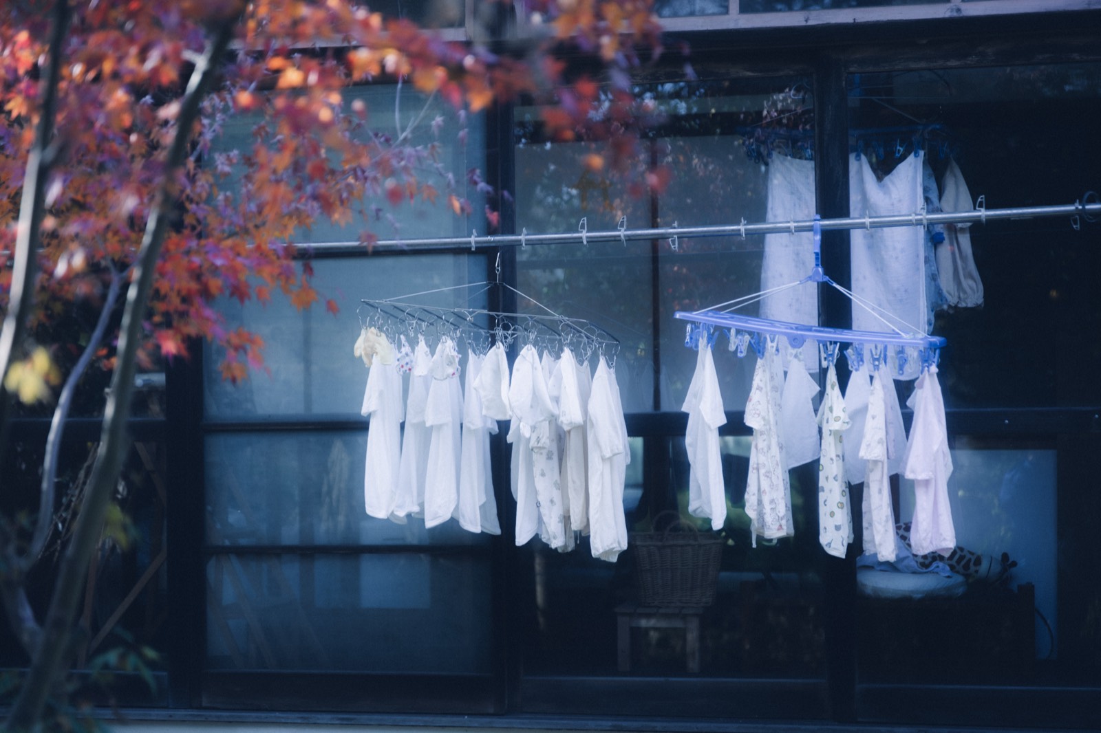 紅葉の下に干された白い産着